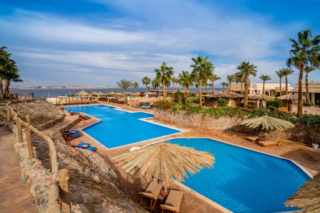 HOTEL CLUB REEF RESORT SHARM EL-SHEIKH 4* (Egypt) - from US$ 121 | BOOKED